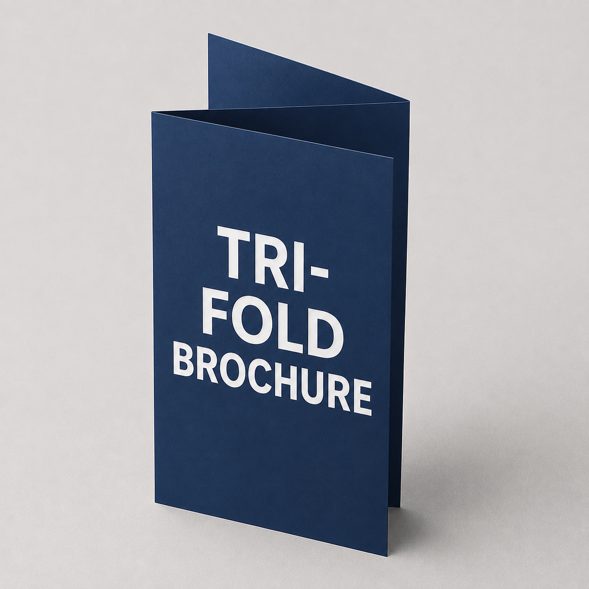 Trifold Brochure